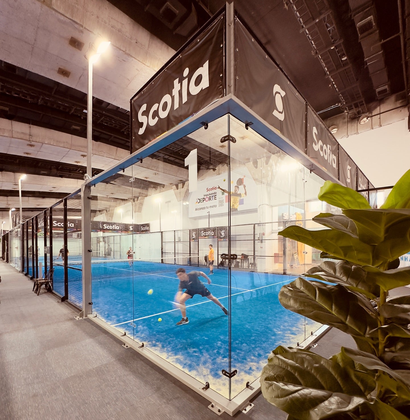 (Coming Soon) SANHATTAN INDOOR PADEL CENTER - PÁDEL